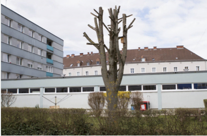 Screen Shot 2026-02-13 11 29 13 AM