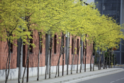 Screen Shot 2026-02-13 06 58 35 PM